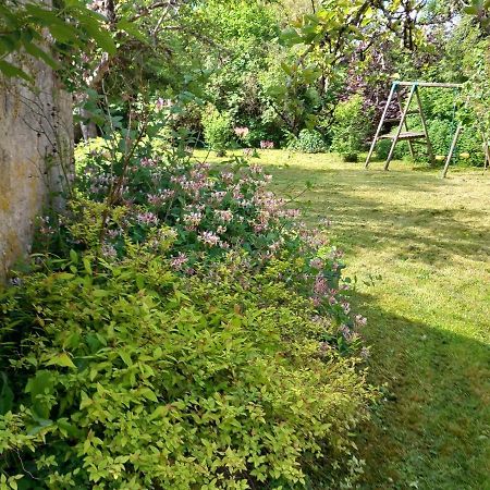 Villa Moulin en bord de rivière à Chevillon-sur-Huillard Extérieur photo