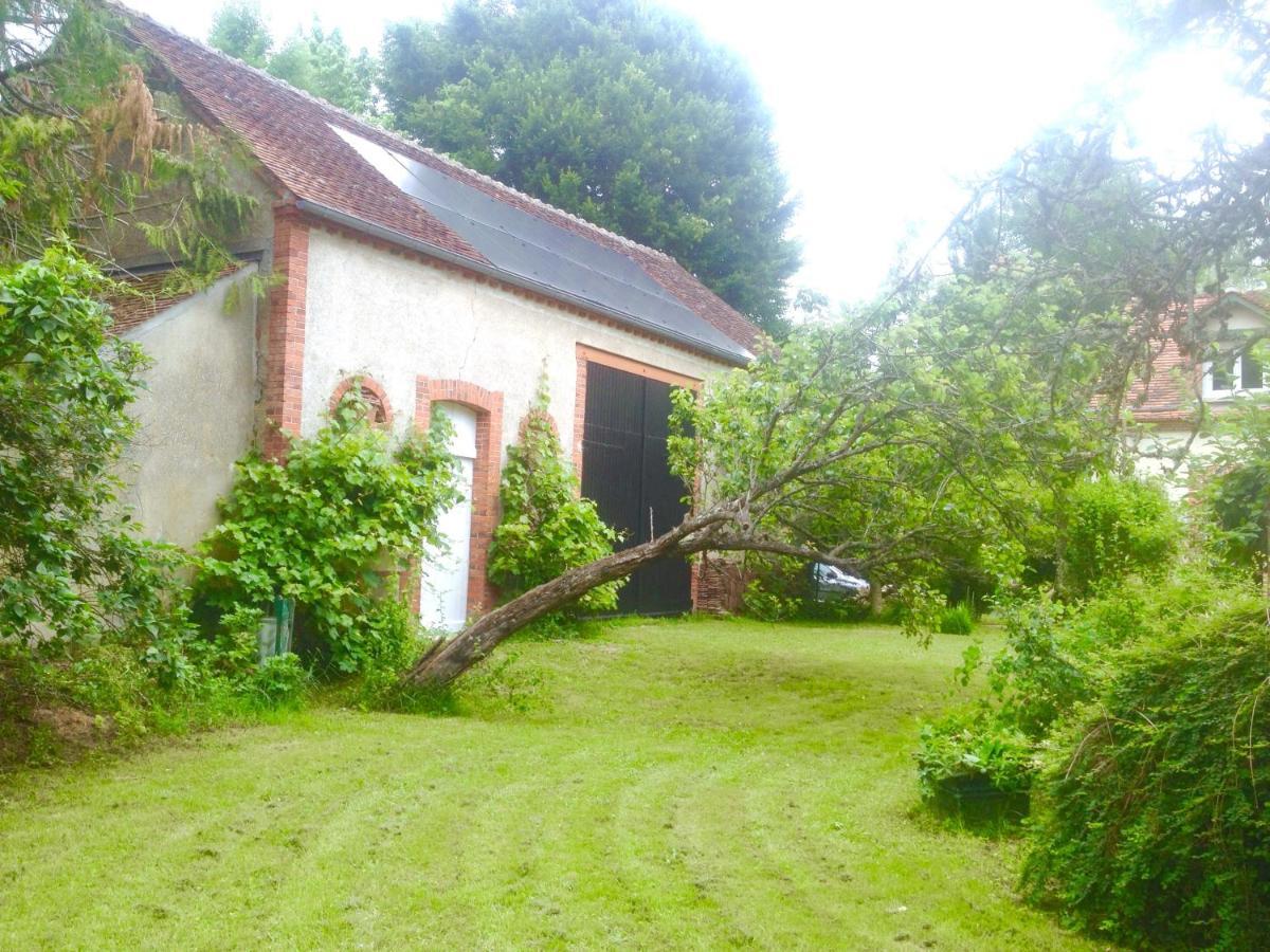 Villa Moulin en bord de rivière à Chevillon-sur-Huillard Extérieur photo